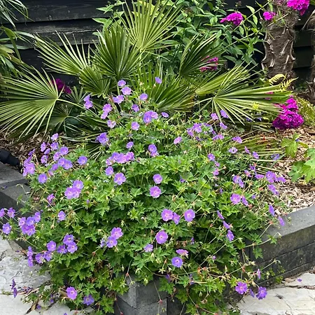 Alojamento de Acomodação e Pequeno-almoço Lokaal Wadway 3*