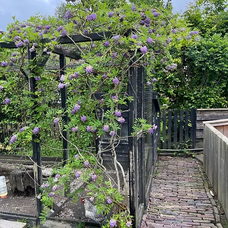 Alojamento de Acomodação e Pequeno-almoço Lokaal Wadway Spanbroek