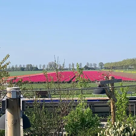 Lokaal Wadway Bed & Breakfast Spanbroek