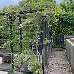 Bed & Breakfast Lokaal Wadway Spanbroek