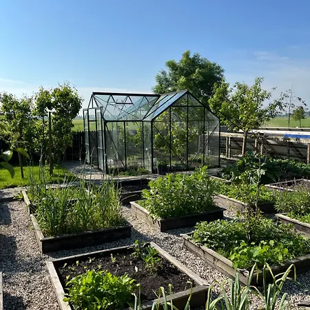 Lokaal Wadway Oda ve Kahvaltı 3*