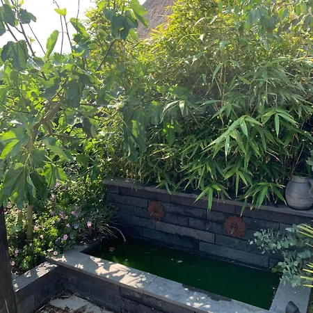 Oda ve Kahvaltı Lokaal Wadway 3*