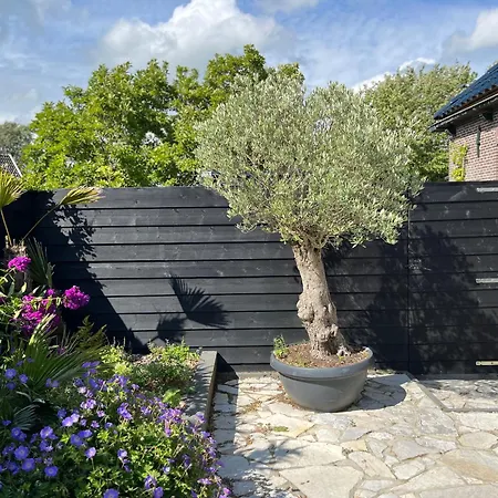 Lokaal Wadway Spanbroek